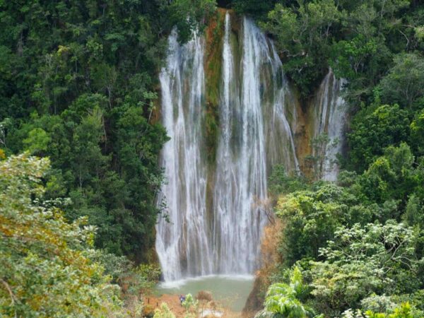 IMG 20170221 WA0001